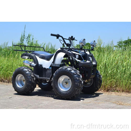 Vente à chaud ATV 110 / 125cc Quad Bikes